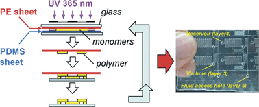 Graphical abstract: Rapid prototyping of multilayer thiolene microfluidic chips by photopolymerization and transfer lamination