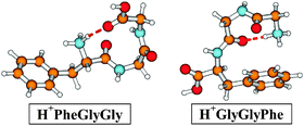 Graphical abstract: Intramolecular interactions in protonated peptides: H+PheGlyGly and H+GlyGlyPhe