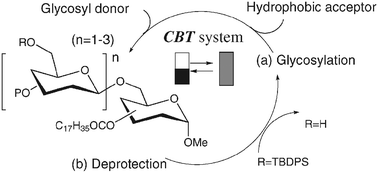 Graphical abstract: Solution-phase oligosaccharide synthesis in a cycloalkane-based thermomorphic system