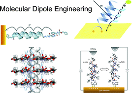 Graphical abstract: Molecular dipole engineering: new aspects of molecular dipoles in molecular architecture and their functions