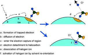 Graphical abstract: Dissociative electron capture of halocarbon caused by the internal electron transfer from water trimer anion