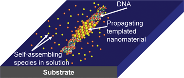 Graphical abstract: DNA-templated nanofabrication