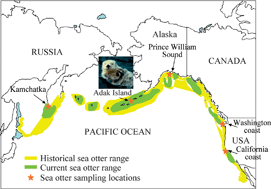 Graphical abstract: Chlorinated, brominated, and perfluorinated compounds, polycyclic aromatic hydrocarbons and trace elements in livers of sea otters from California, Washington, and Alaska (USA), and Kamchatka (Russia)