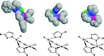 Graphical abstract: Solid state and solution structures of rhodium and iridium poly(pyrazolyl)borate diene complexes