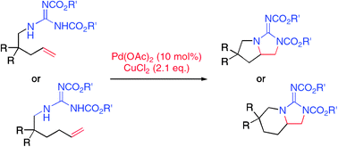 Graphical abstract: Direct synthesis of bicyclic guanidines through unprecedented palladium(ii) catalysed diamination with copper chloride as oxidant