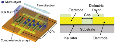 Graphical abstract: A novel microfluidic driver viaAC electrokinetics