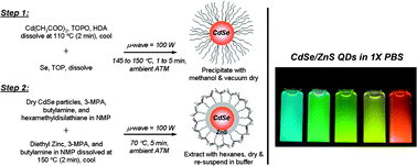 Graphical abstract: Emission-tunable microwave synthesis of highly luminescent water soluble CdSe/ZnS quantum dots