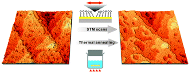 Graphical abstract: Disorder–order phase change of ω-(N-pyrrolyl)alkanethiol self-assembled monolayers on gold induced by STM scans and thermal activation