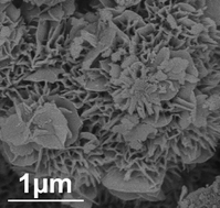 Graphical abstract: Facile approach to prepare loose-packed NiO nano-flakes materials for supercapacitors