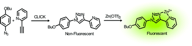 Graphical abstract: 1,3-Dipolar cycloaddition of alkynes to azides. Construction of operationally functional metal responsive fluorophores