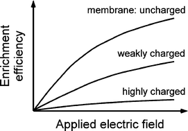 Graphical abstract: The influence of membrane ion-permselectivity on electrokinetic concentration enrichment in membrane-based preconcentration units