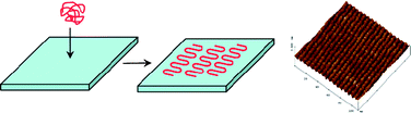 Graphical abstract: Nanopatterning by protein unfolding