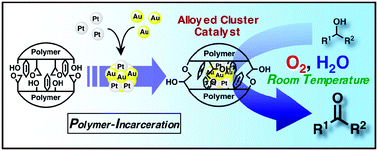 Graphical abstract: Gold–platinum bimetallic clusters for aerobic oxidation of alcohols under ambient conditions