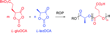 Graphical abstract: Functionalized polyesters from organocatalyzed ROP of gluOCA, the O-carboxyanhydride derived from glutamic acid