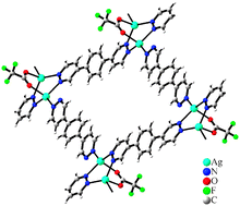 Graphical abstract: Copper(i) and silver(i) coordination frameworks involving extended bipyridazine bridges