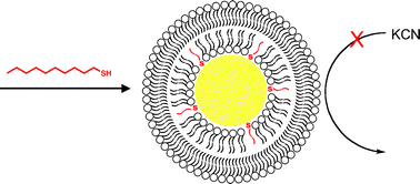 Graphical abstract: Gold nanoparticles become stable to cyanide etch when coated with hybrid lipid bilayers