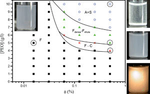 Graphical abstract: Phase behaviour of a model colloid–polymer mixture at low colloid concentration