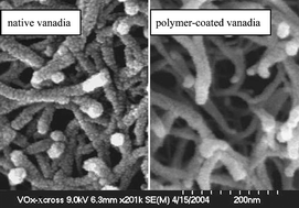 Graphical abstract: Polymer nanoencapsulated mesoporous vanadia with unusual ductility at cryogenic temperatures