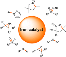 Graphical abstract: Iron-catalysed carbon–heteroatom and heteroatom–heteroatom bond forming processes