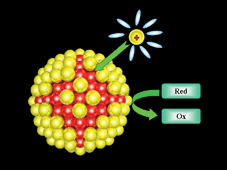 Graphical abstract: Thermodynamic considerations and computer simulations on the formation of core-shell nanoparticles under electrochemical conditions