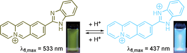 Graphical abstract: Water-soluble, pH-sensitive fluorescent probes on the basis of acridizinium ions