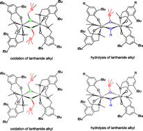 Graphical abstract: O2activation and hydrolysis of Salan rare-earth metal alkyl complexes