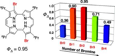 Graphical abstract: Photophysical and photosensitizing properties of brominated porphycenes