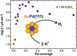 Graphical abstract: Unique activity of Pd monomers: hydrogen evolution at AuPd(111) surface alloys