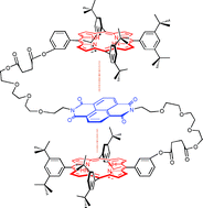 Graphical abstract: Porphyrin–naphthodiimide interactions as a structural motif in foldamers and supramolecular assemblies