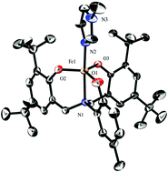 Graphical abstract: Synthesis, structures and catalytic properties of iron(iii) complexes with asymmetric N-capped tripodal NO3 ligands and a pentadentate N2O3 ligand