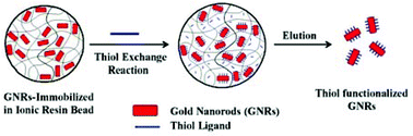 Graphical abstract: Surface modification of gold nanorods through a place exchange reaction inside an ionic exchange resin