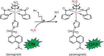 Graphical abstract: A photosensitive {Ru–NO}6nitrosyl bearing dansyl chromophore: novel NO donor with a fluorometric on/off switch