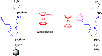 Graphical abstract: Synthesis of organometallic PNA oligomers by click chemistry