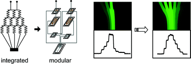 Graphical abstract: Modular microfluidics for gradient generation
