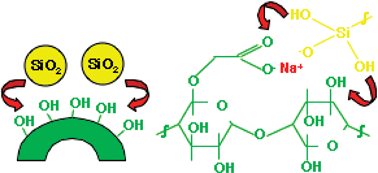 Graphical abstract: Aqueous sol-gel routes to bio-composite capsules and gels