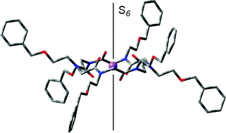 Graphical abstract: Synthesis, structures, and properties of nine-, twelve-, and eighteen-membered N-benzyloxyethyl cyclic α-peptoids