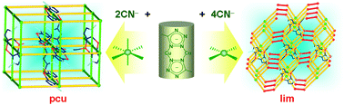 Graphical abstract: Pcu versus lim nets: topological variation of cyano-bridged copper(I)-tetrazole coordination frameworks caused by Cu2(azole)2-SBU versatility