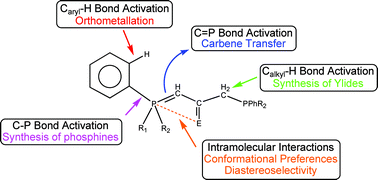 Graphical abstract: Bonding properties and bond activation of ylides: recent findings and outlook