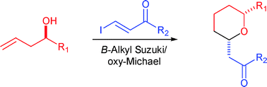 Graphical abstract: B-Alkyl Suzuki couplings for the stereoselective synthesis of substituted pyrans