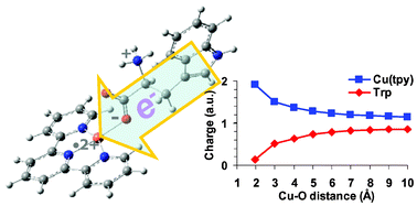 Graphical abstract: Dissociations of copper(ii)-containing complexes of aromatic amino acids: radical cations of tryptophan, tyrosine, and phenylalanine