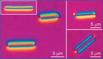 Graphical abstract: Interactions of micro-rods in a thin layer of a nematic liquid crystal