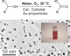Graphical abstract: Amphiphilic block copolymer-stabilized gold nanoparticles for aerobic oxidation of alcohols in aqueous solution