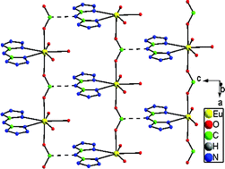 Graphical abstract: Syntheses, structures and properties of seven isomorphous 1D Ln3+complexes Ln(BTA)(HCOO)(H2O)3 (H2BTA = bis(tetrazoly)amine, Ln = Pr, Gd, Eu, Tb, Dy, Er, Yb) and two 3D Ln3+ complexes Ln(HCOO)3 (Ln = Pr, Nd)