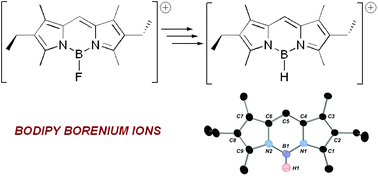 Graphical abstract: Borenium cations derived from BODIPY dyes