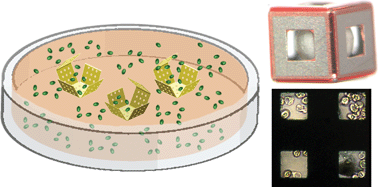 Graphical abstract: Self-loading lithographically structured microcontainers: 3D patterned, mobile microwells