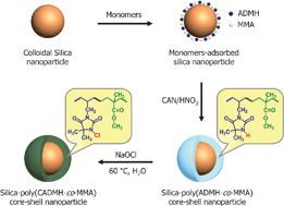 Graphical abstract: Fabrication of monodisperse silica–polymer core–shell nanoparticles with excellent antimicrobial efficacy
