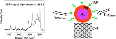 Graphical abstract: Functionalized carbon nanotubes for pH sensors based on SERS