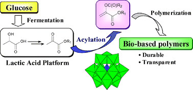 Graphical abstract: An efficient heteropolyacid catalyzed acylation of pyruvate esters to α-acyloxyacrylate esters as potential candidate monomers for bio-based polymers