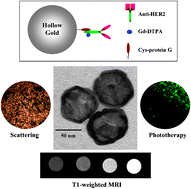 Graphical abstract: Paramagnetic gold nanostructures for dual modal bioimaging and phototherapy of cancer cells