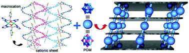 Graphical abstract: Combination of POMs and deliberately designed macrocations: a rational approach for synthesis of POM-pillared metal–organic framework